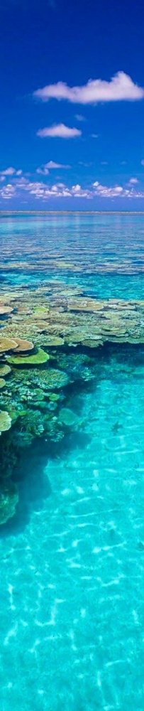 Okinawa Travel Itinerary: Churaumi Aquarium, Shuri Castle Park, Minatogawa Residence