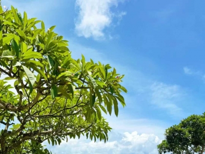 Bali luxury seaside hotel private beach, off-season discount from August to December 2024