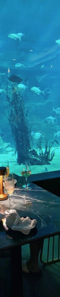 Aqua dining adventure, Cebu Aquarium Restaurant, taste delicious food under the sea