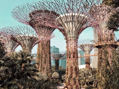 Visit Gardens? by the Bay in Singapore and learn where to take great photos