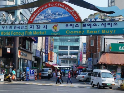 Busan travel guide and charter service, 5 major attractions recommended