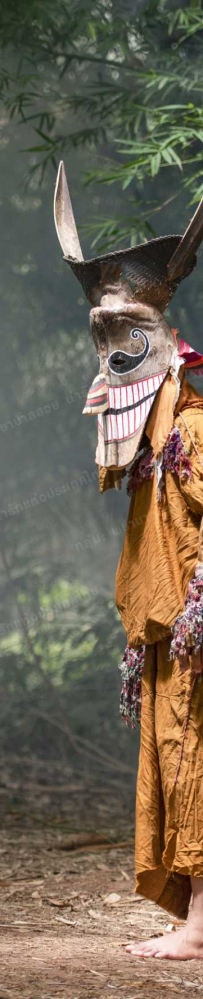 Phi Ta Khon Festival is a Buddhist festival celebrated in Dan Sai District, Loei Province from June to July every year