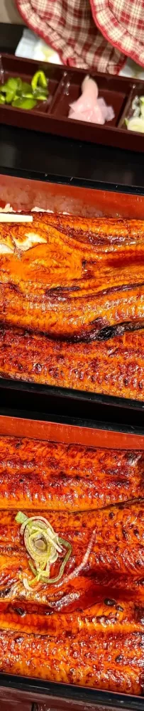 Una Naruse Roppongi store, the best eel rice in Tokyo in my opinion, Google rating 4.8