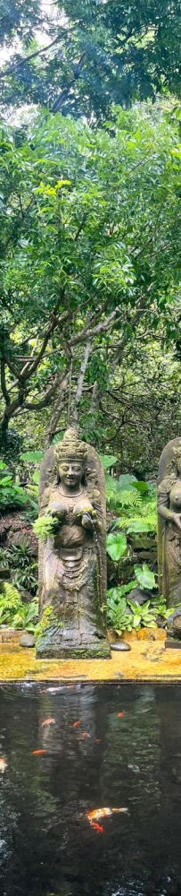 Bali Monkey Forest Park, Temple built 17th century, has lush trees and gentle monkeys