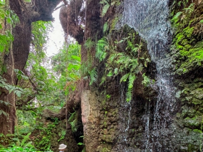 Chiang Mai's dreamland Dantewada, a combination of waterfalls, flowing water and mist