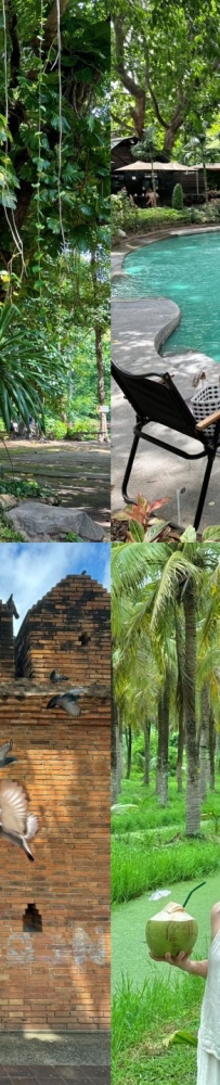 Free Chiang Mai, visit the old city, Nimmanhaemin Road and the University Night Market