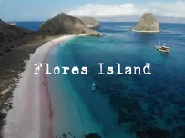 Komodo National Park｜Pink Romantic Girl’s Heart Holy Land 200 nautical miles east of Bali
