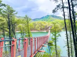 The longest suspension bridge in Korea - Paju Majang Lake Suspension Bridge