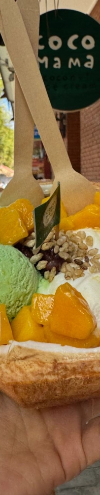 Coco Mama ice cream and Reb Crab spicy crab?, Boracay local food restaurant sharing